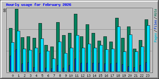 Hourly usage for February 2026